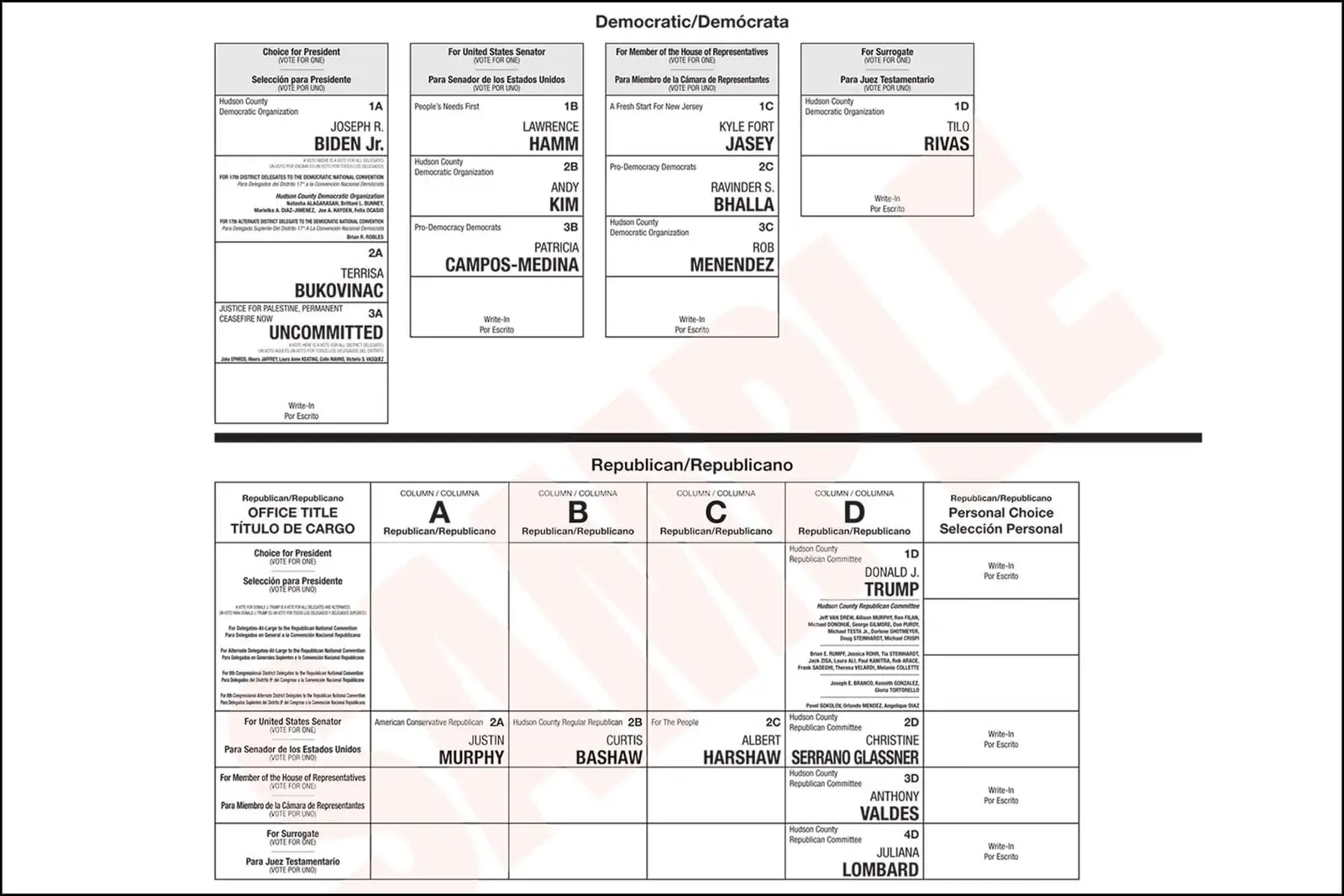 Most county clerks settle lawsuit targeting county-line ball